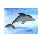 Watercolour Cards - Click to enlarge